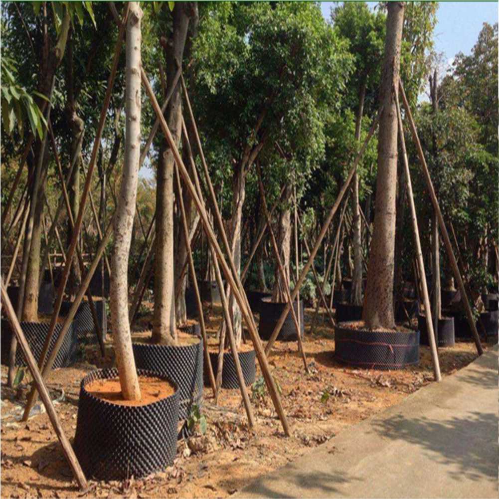 Alat Transplantasi Tanaman Bon - Outdoor Furniture ulasan dan harga